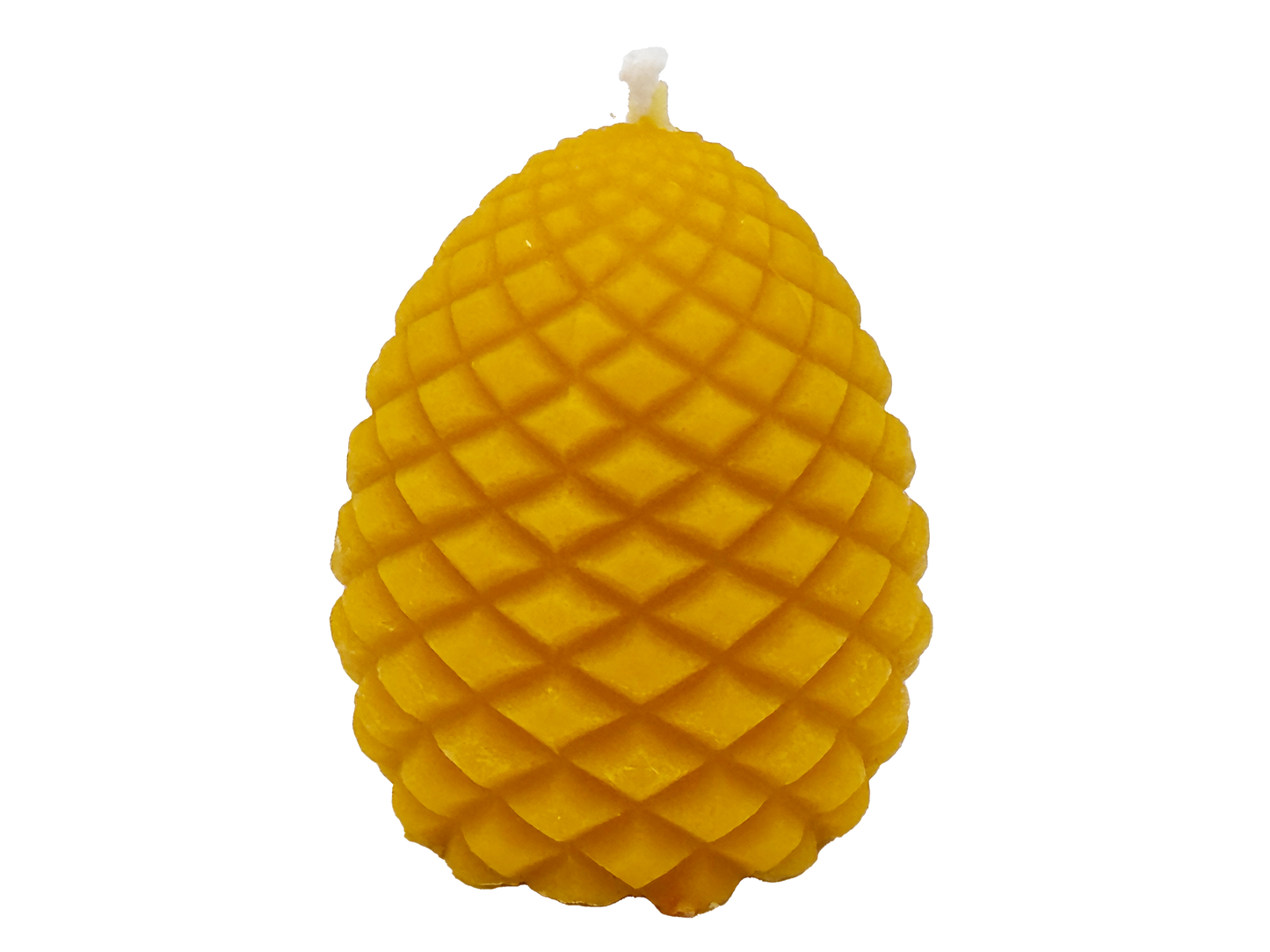 Zapfen